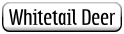 Whitetail Deer