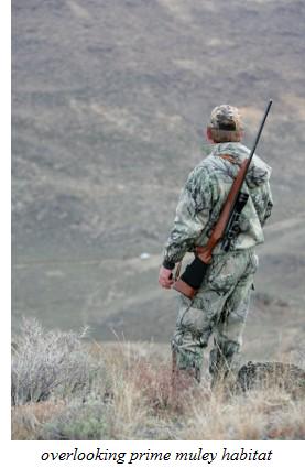 mule deer hunting